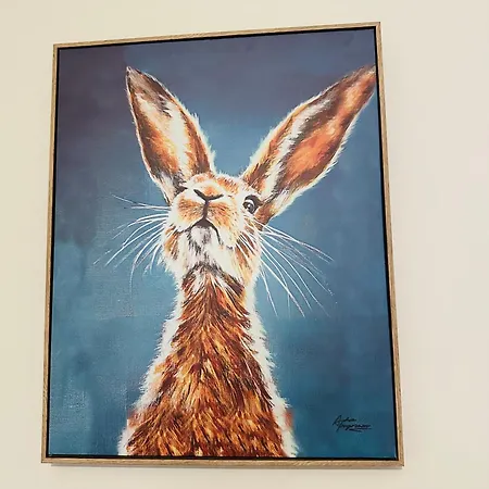 The Albert, Montpellier Apartment *