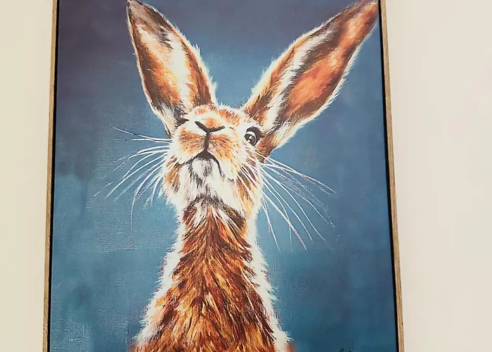 The Albert, Montpellier 公寓 *