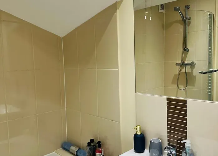 公寓 The Albert, Montpellier 布里斯托